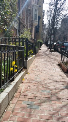 I loved the old feeling I had walking through the streets. The brick roads and sidewalks and the colonial architecture.