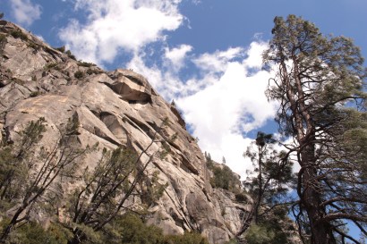 One step in front of the other, dont forget to look up at the trees and smell the fresh air. 